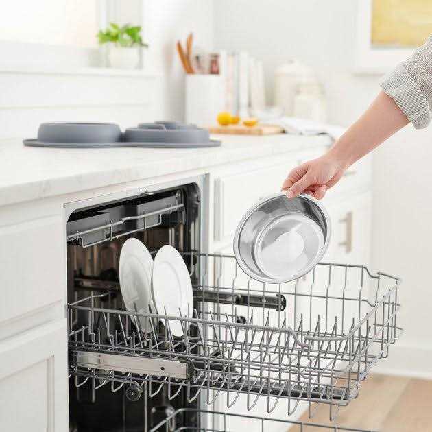 Silicone Slow Feeder Mat with Stainless Steel Bowl B874903