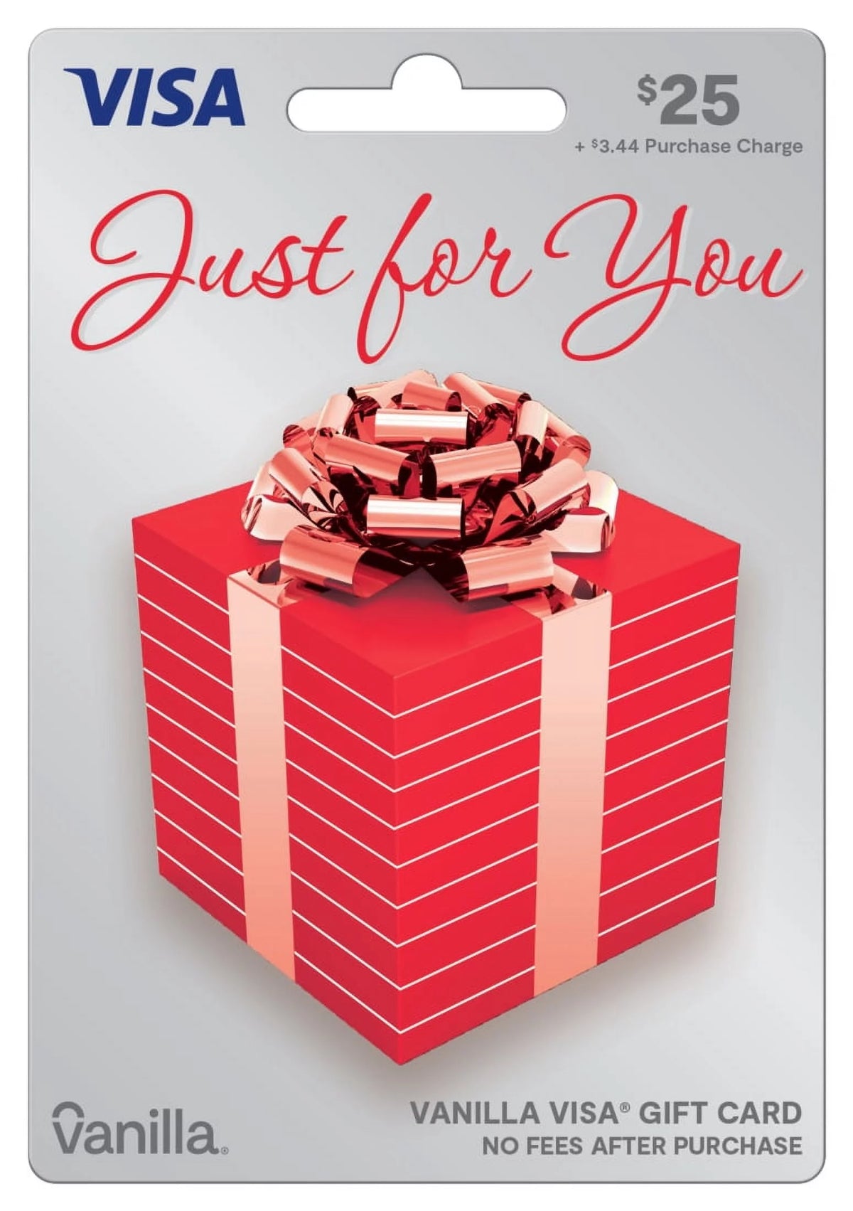 Vanilla Visa Gift Card V6196
