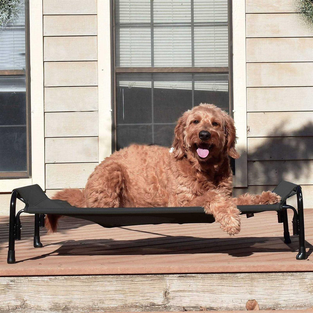 Elevated Dog Bed with Washable Mesh H697867
