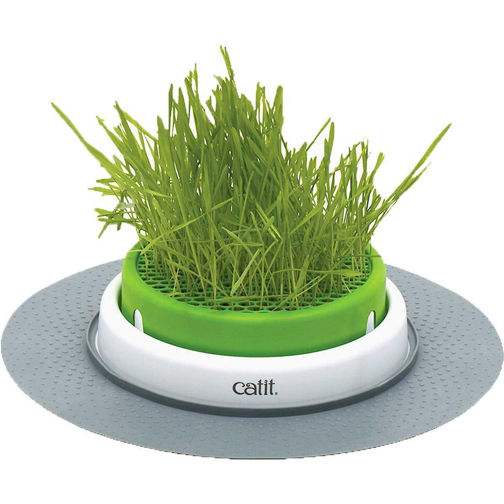 Grass Planter O814