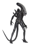 1/4 Scale Action Figure J9199