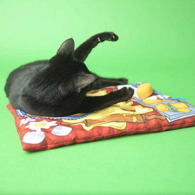 Cat Mat U899643