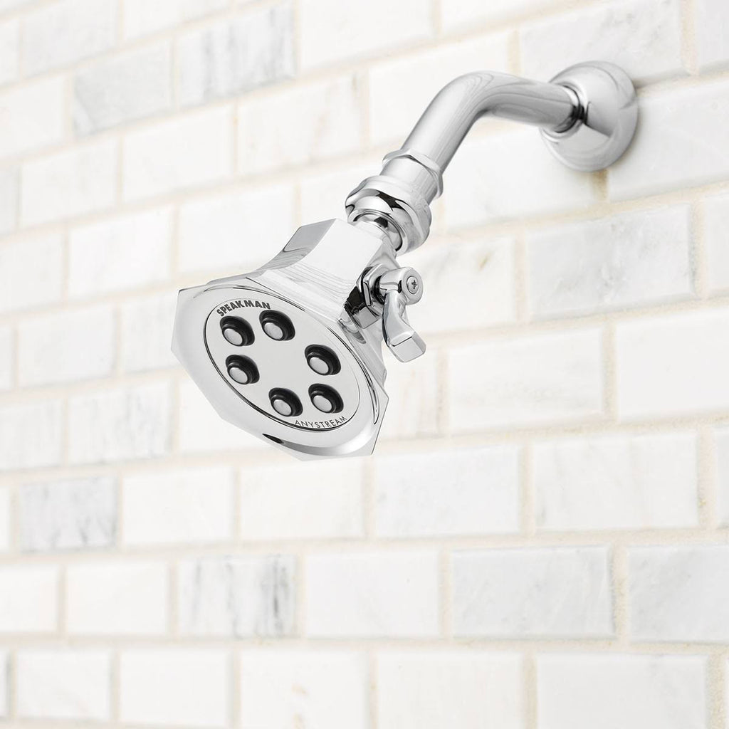 Polished Chrome Multi-Function Shower Head R698328