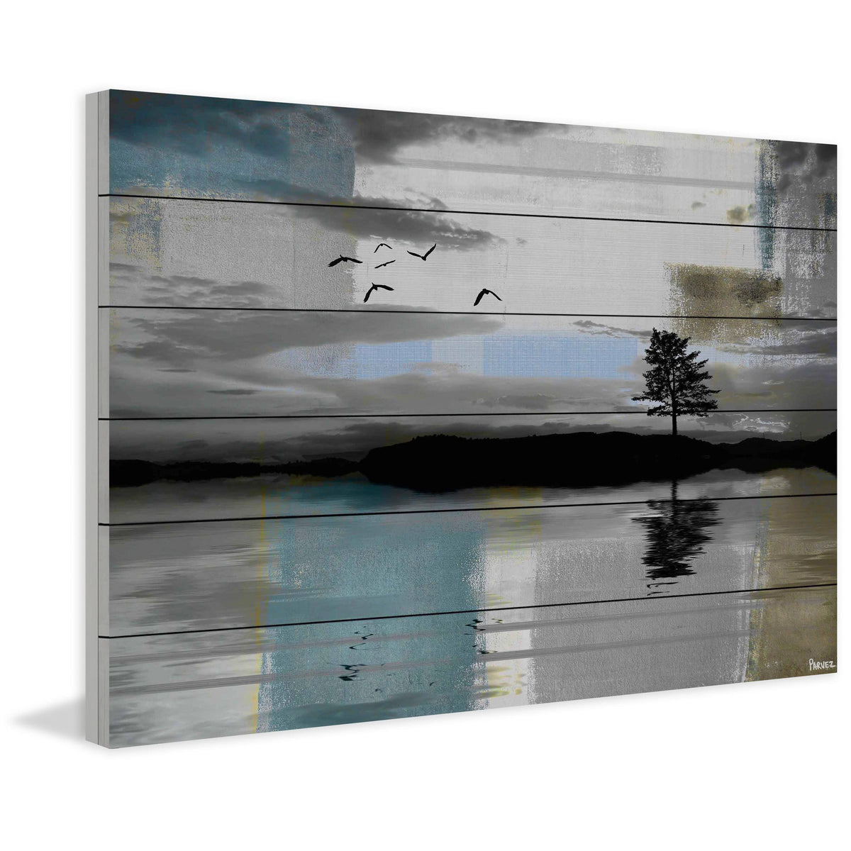 Tree Reflection Print on White Wood 24 x 16 O77338