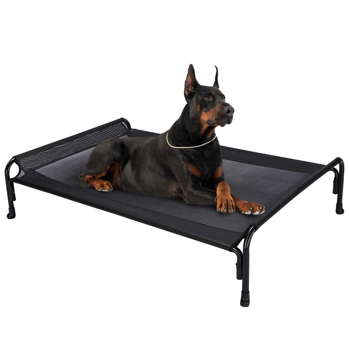 Elevated Dog Bed with Washable Mesh H697867