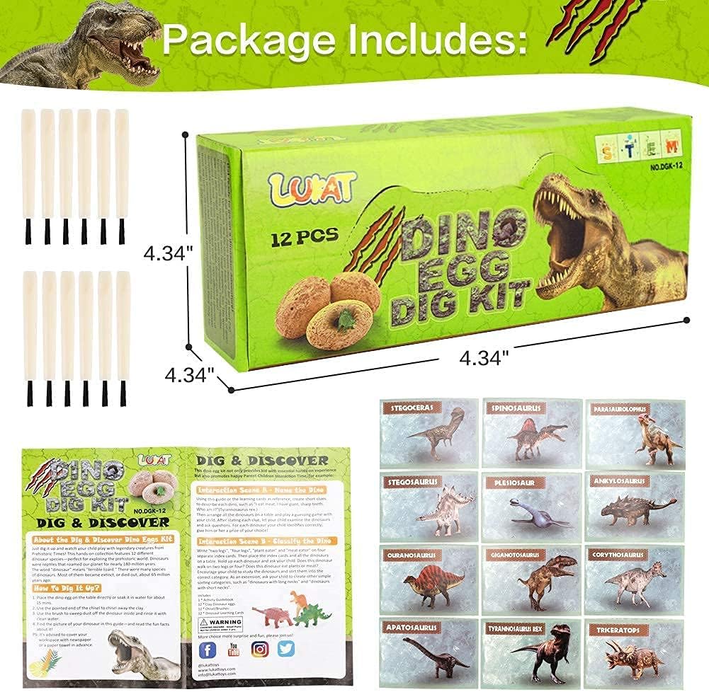 12 PCS Dinosaur Excavation Toys with Dinosaur Eggs N2021