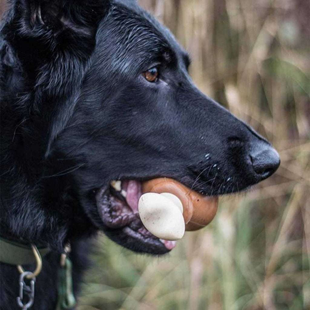 Tough Dog Toys U702