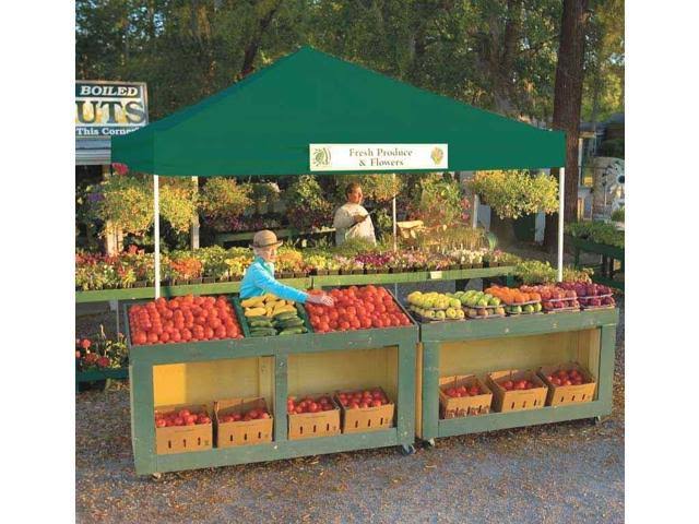 12 x 12 Pop-Up Canopy Straight Green T71074
