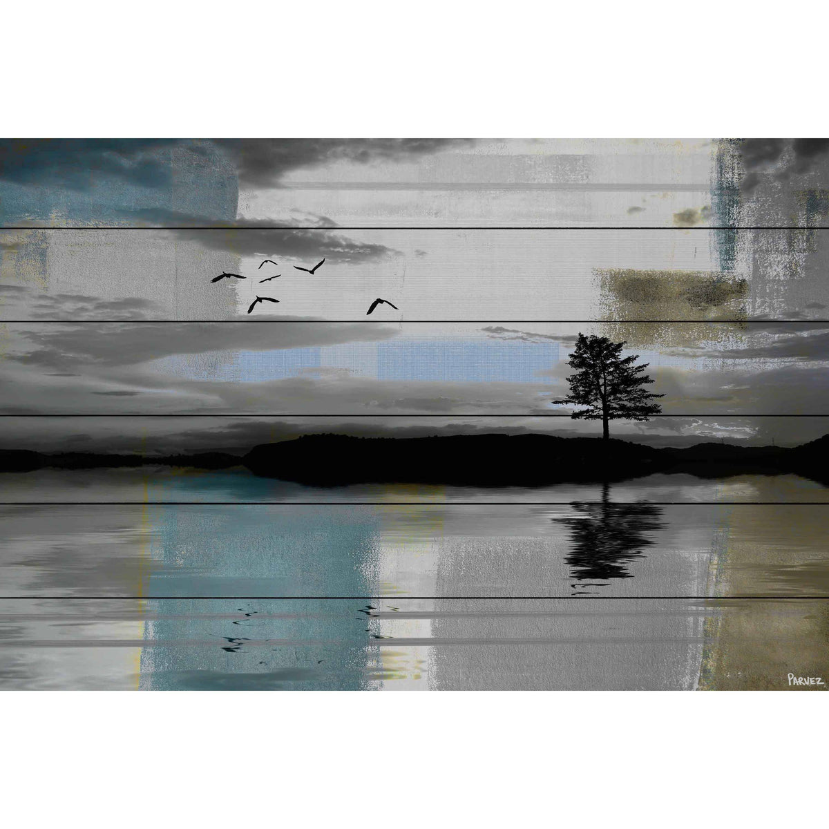 Tree Reflection Print on White Wood 24 x 16 O77338