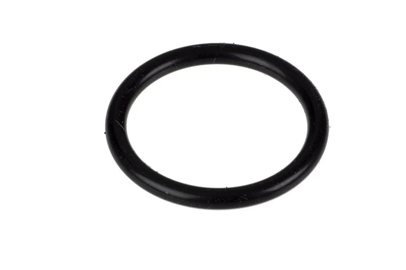 Diffuser O-Ring I976