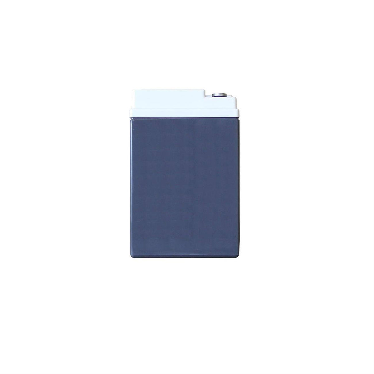 12V AGM Battery W442
