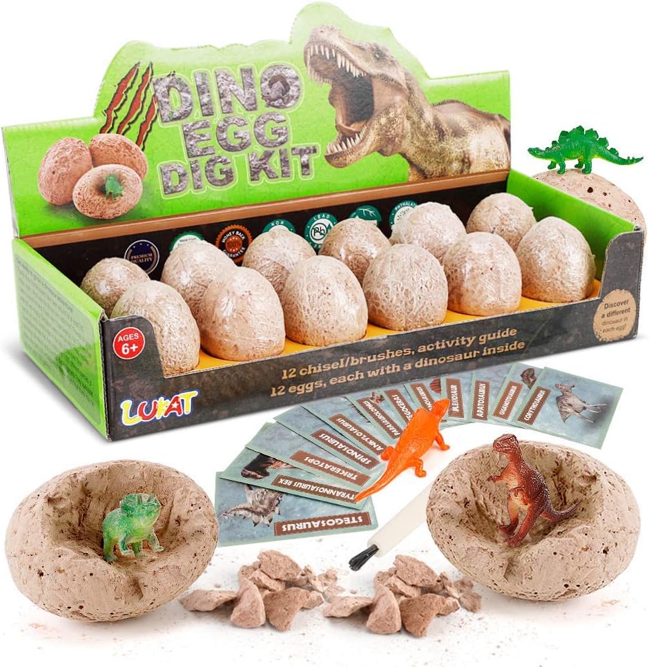 12 PCS Dinosaur Excavation Toys with Dinosaur Eggs N2021