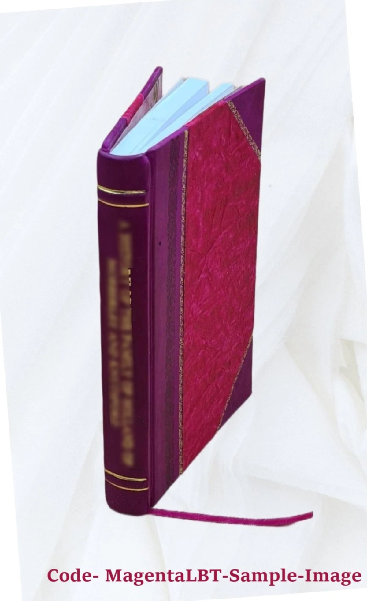 Compressed Air and Electrical Appliance Magazine Leather Bound H965