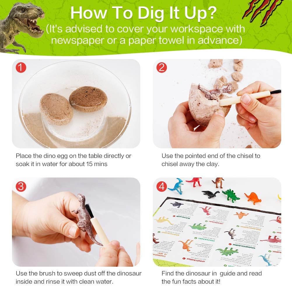 12 PCS Dinosaur Excavation Toys with Dinosaur Eggs N2021