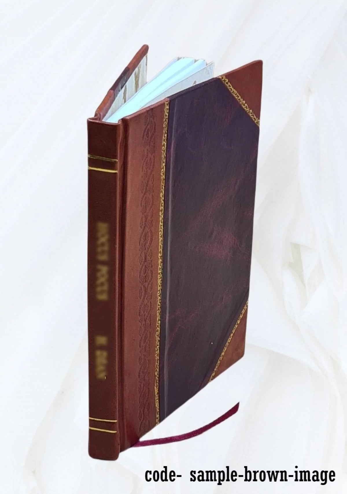 Compressed Air and Electrical Appliance Magazine Leather Bound H965